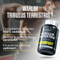 Tribulus Terrestris (90 Tabs)