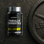 Tribulus Terrestris (90 Tabs)