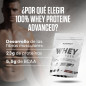100% Whey Proteine Advanced (300 g) 100% Whey Proteine Advanced (300 g)