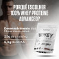100% Whey Proteine Advanced (300 g) 100% Whey Proteine Advanced (300 g)
