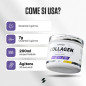 Collagen Max (350 g)