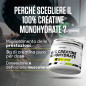 100% Creatine Monohydrate (530 g)