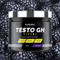 Testo GH Xtrême (300 g) Testo GH Xtrême (300 g)