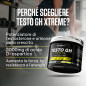 Testo GH Xtreme (300 g)