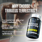 TRIBULUS TERRESTRIS (90 TABS)