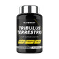 TRIBULUS TERRESTRIS (90 COMPRIMIDOS)