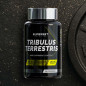 TRIBULUS TERRESTRIS (90 TABS)