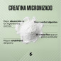 100% Creatine Monohydrate (530 g)