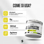 100% Creatine Monohydrate (530 g)