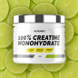 100% Creatine Monohydrate (530 g)