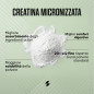 100% Creatine Monohydrate (530 g)
