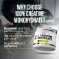 100% Creatine Monohydrate (530 g) 100% Creatine Monohydrate (530 g)