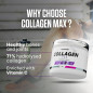 Collagen Max (350 g)