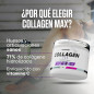 Collagen Max (350 g)