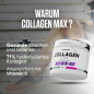 Collagen Max (350 g)