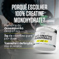 100% Creatine Monohydrate (300 g)