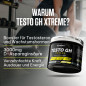 Testo GH Xtreme (300 g)