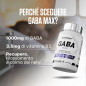 Gaba Max (120 caps) Gaba Max (120 caps)