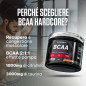 BCAA Hardcore Campione (8,5 g) BCAA Hardcore Campione (8,5 g)