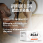 BCAA Xtrême (252 Kaps)